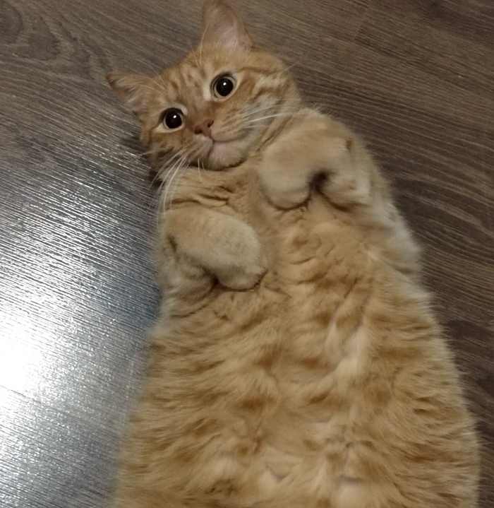  , , , ,  , 