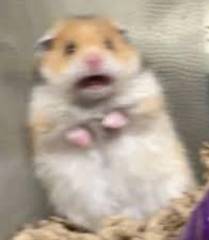 Опять суета?