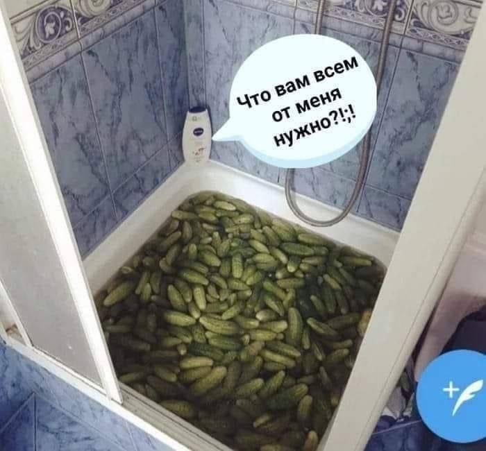 Cucumbers - Humor, Food, Cooking, Picture with text, Cucumbers, Bath, Shower gel, Repeat