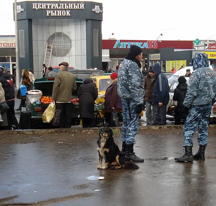 On guard - My, Dog, Security, Market, Street photography