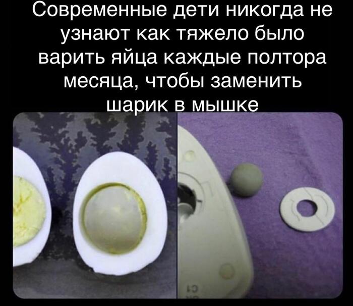    ? , , , Telegram (),   ,  