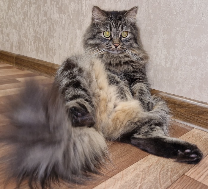 ���, ���� � ����� - ��� ��� ���������!!!