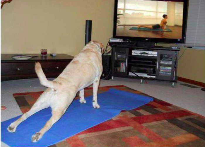 ���� ��� ������!