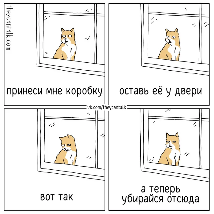 Delivery - My, Theycantalk, Translated by myself, Comics, cat, Delivery, Box