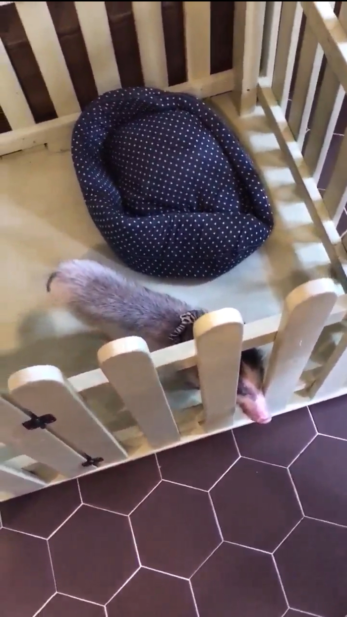   , , , ,  , 