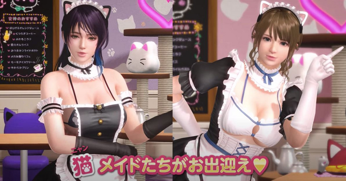 Dead or Alive Xtreme Venus Vacation Had a Maid Costume Ban - My, Game world news, Computer games, Dead Or Alive (game series), Fighting, Longpost