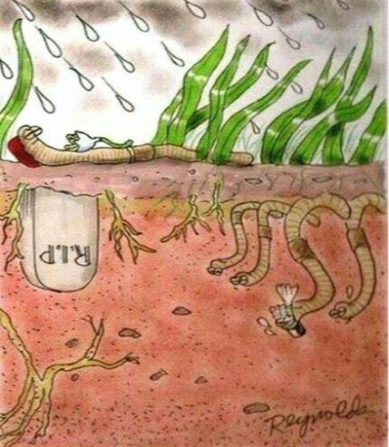 Funeral of the worms - Humor, Picture with text, Worm, Earthworms, Funeral, Hardened