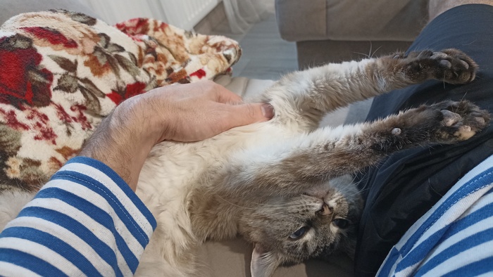 Собрали последний урожай в этом сезоне