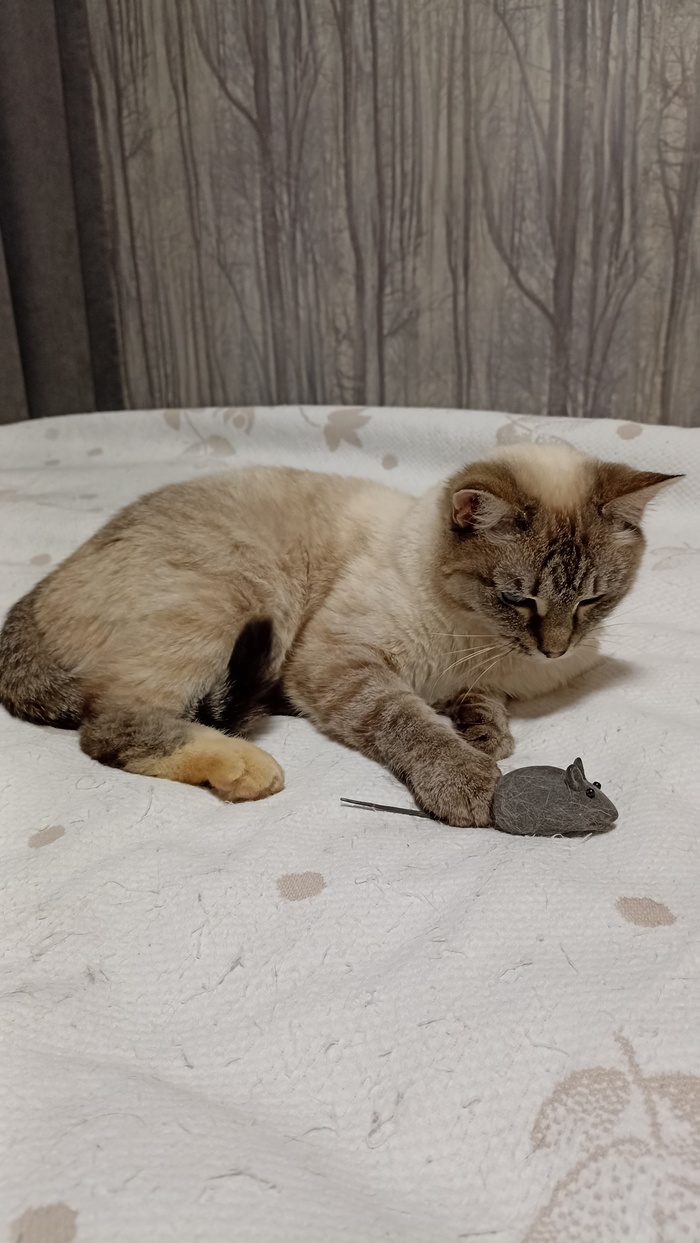 Собрали последний урожай в этом сезоне