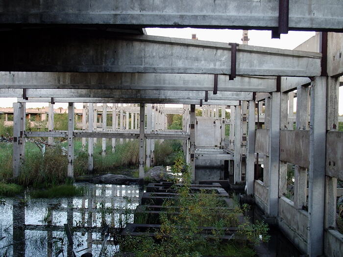 Софийская 81