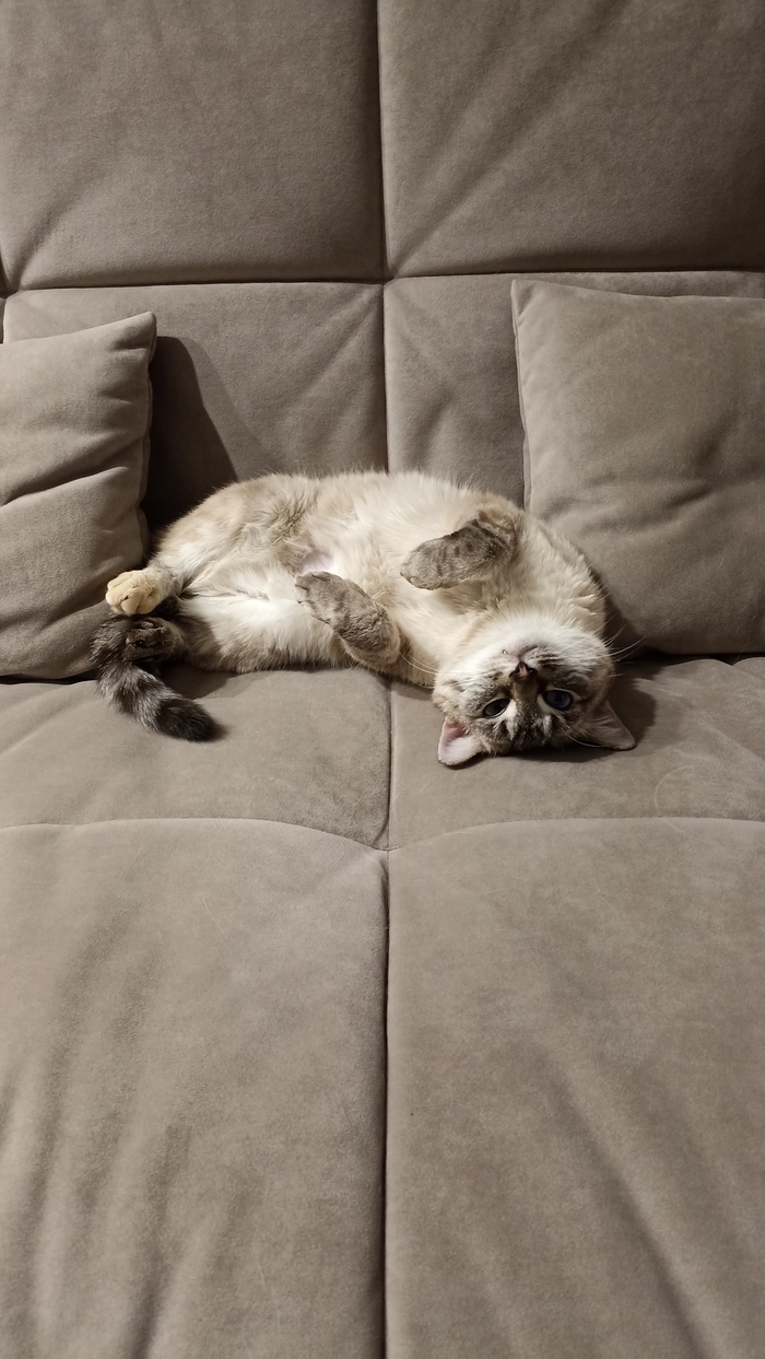 Собрали последний урожай в этом сезоне