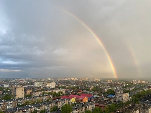 В Оренбургской области все больше муниципалитетов объявляют спецрежим - Бродячие собаки, Оренбургская область, Закон