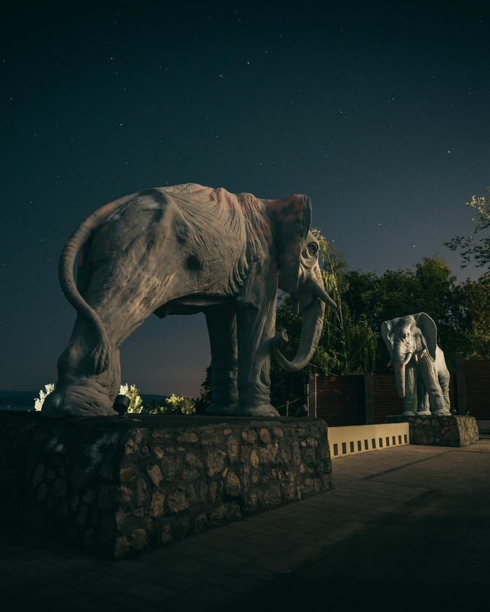 Фото: rooney.999