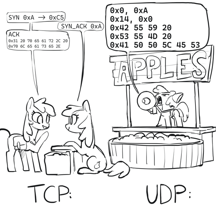  TCP-  