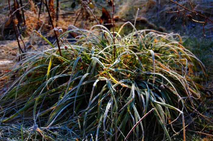 ������ ����. ����� � � ��� ����� ����.