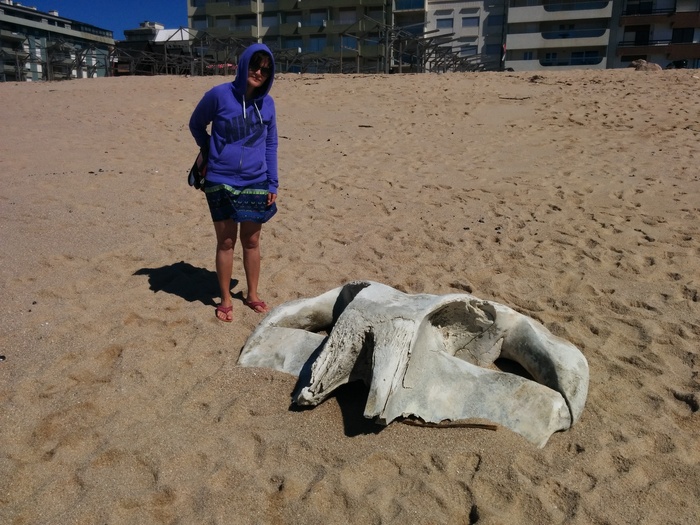 ������������ �����