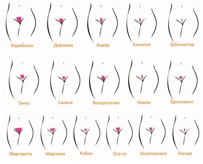 Girls, why do you shave your vaginas bald? Poll of men: Is a bald pussy better or one of 16 intimate haircuts for girls? + Poem - 18+, My, Survey, Intimate haircut, Toilet humor, Poems, Pubes, beauty, Sexuality, Crotch, Vagina, Shaving, Intimate depilation, Humor, Vulgarity, Sex, Pubis, Vagina, No panties, Mat, Longpost, NSFW, Romance, Relationship