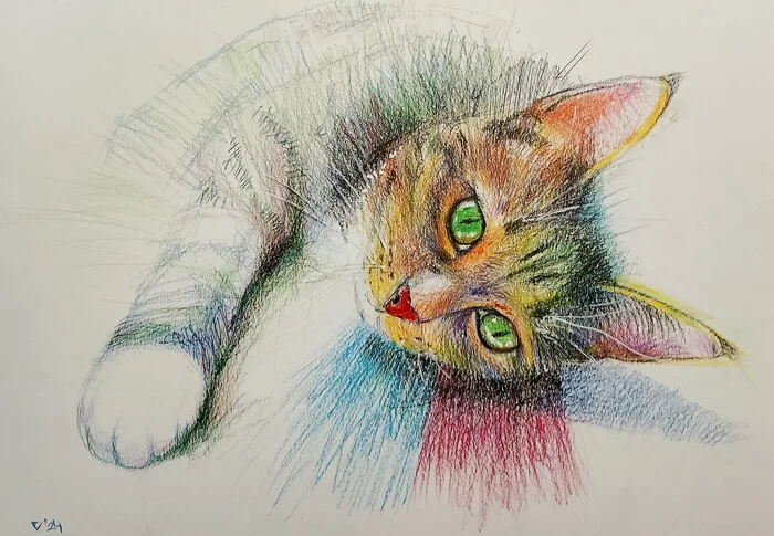 Kitty - My, cat, Creation, Drawing, Animalistics, Pencil drawing, Colour pencils, Animals, Graphics