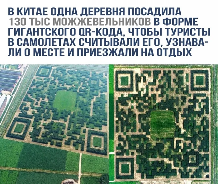 1732044804166647543.webp