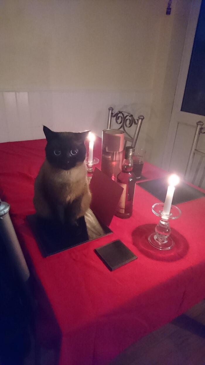 ��� �� ���� ���� �� ������ ���������, �� ����� �� ���� ��� �����������?