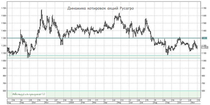 Русагро - проблемные зоны и перспективы роста