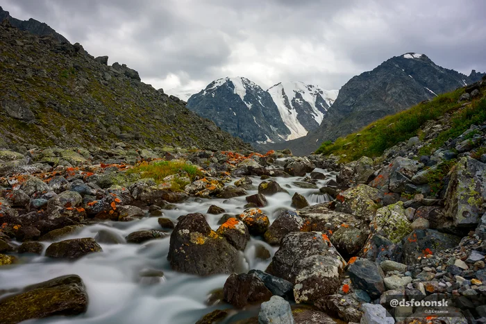 Orange lichens on the rocks of the Karakabak River near its source - My, The nature of Russia, Altai Republic, The mountains, Mountain river