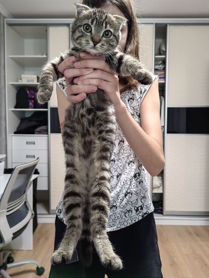   , , 