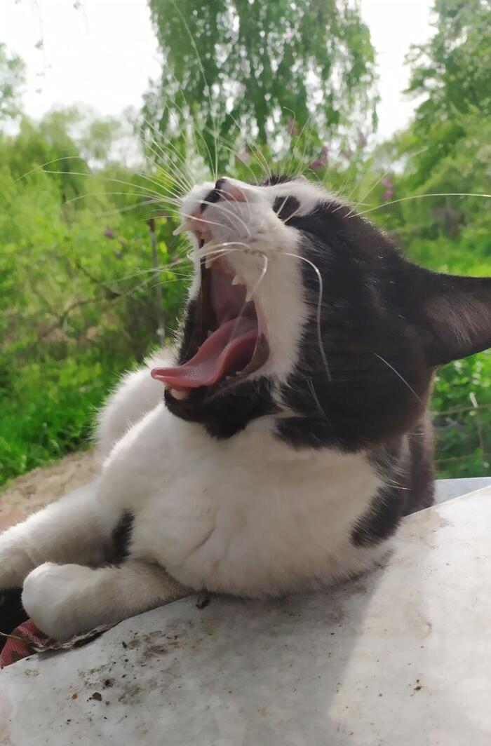    ,   ! ,  , 