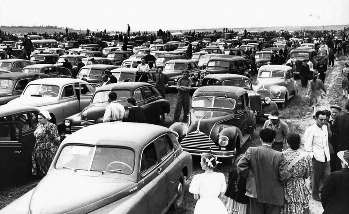    , 1951 .   .     .   .