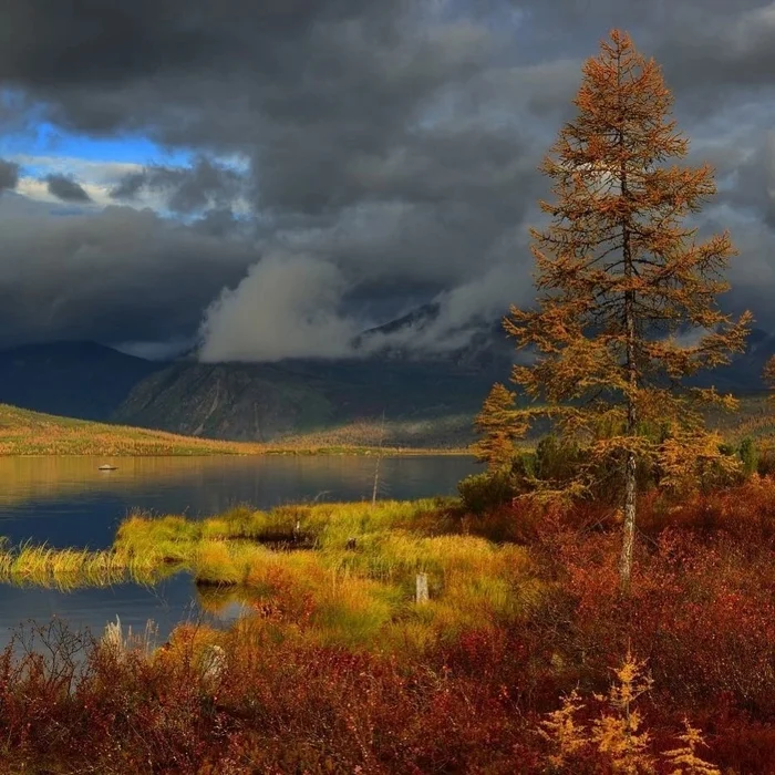 Magadan autumn - Magadan Region, The photo, Autumn, Nature, wildlife, The nature of Russia, beauty