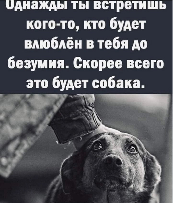 Она, по крайней мере, не предаст!