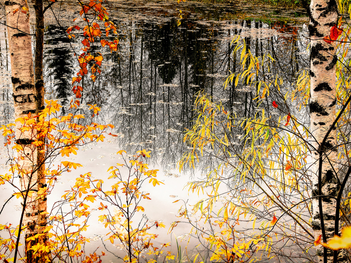 Осенняя фоточка