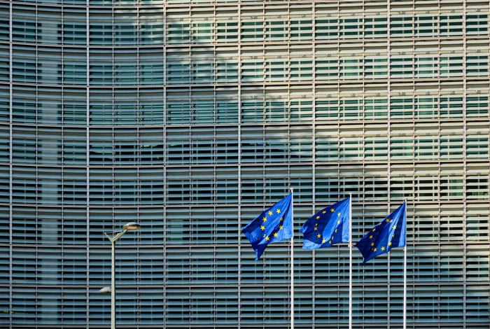 ������� �����: ��� ���������� �������� ��������� � ������ � 2024/2025 ����