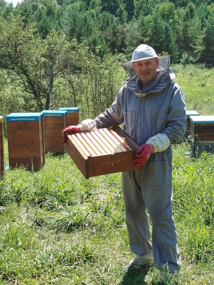 ABOUT US - Beekeeping, Health, Apitherapy, Telegram (link), VKontakte (link), Longpost