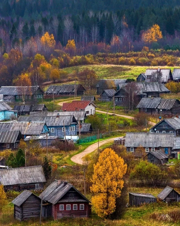 Makaryevskaya village, Leningrad region - Village, Leningrad region, The photo, Autumn, Landscape