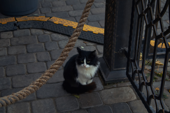 Canon R100 45mm f/6.3 1/30s