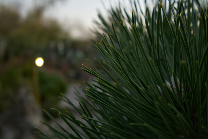 Canon R100 24mm f/5 1/15s