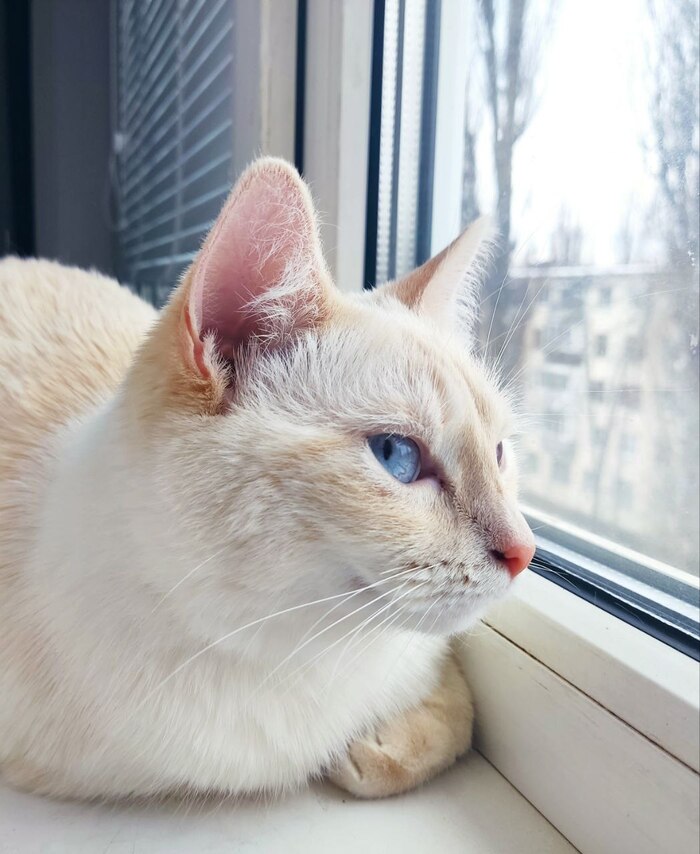 Ее Величество, собственной персоной.