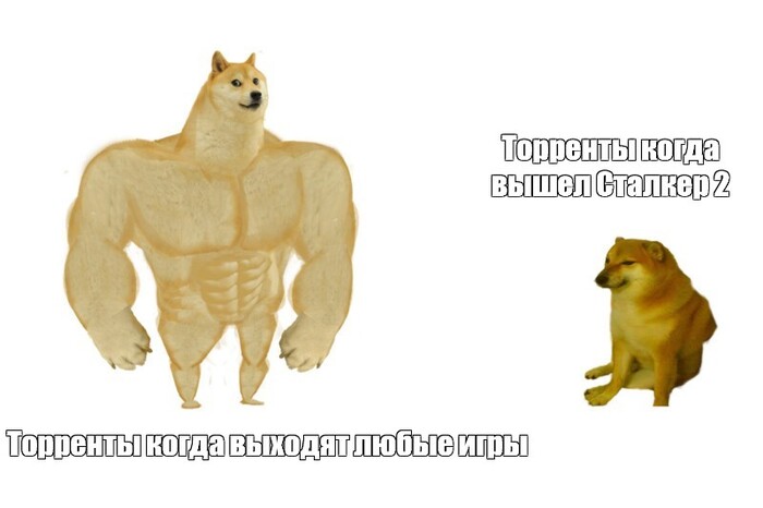 �� ������