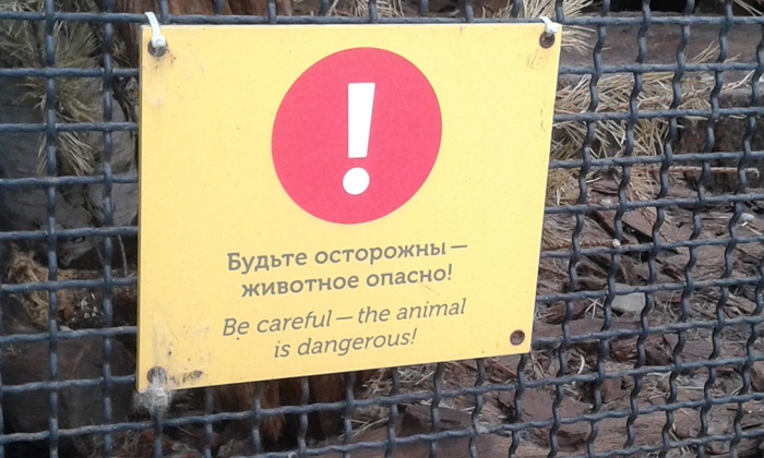 ��� � �� ����� � ������ ������� ����) ���� ��� �������� �� �� ��� ������ ��� �� �������� ��������������� ������ . �� �������, ���������� , � ��������� ( �����������).