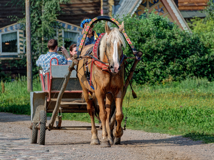 (<a href="https://pikabu.ru/story/verkhnie_mandrogi_12043991?u=https%3A%2F%2Fflic.kr%2Fp%2FWzufMp&t=%D0%BF%D0%BE%D0%BB%D0%BD%D0%BE%D1%80%D0%B0%D0%B7%D0%BC%D0%B5%D1%80&h=a6d6a1b8dfcf38c804dabc91440b5bffbefa1b97" title="https://flic.kr/p/WzufMp" target="_blank" rel="nofollow noopener">полноразмер</a>)