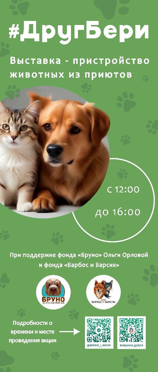 ��������� #��������