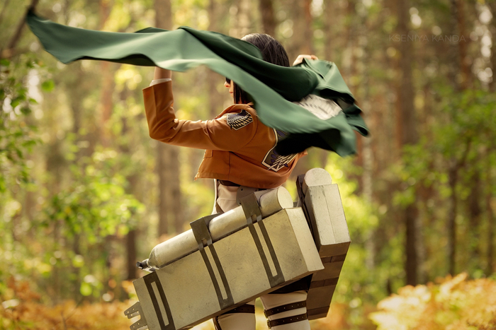 Mikasa Ackerman | Shingeki no Kyojin , Mikasa Ackerman, Attack on Titan, ,  (), 