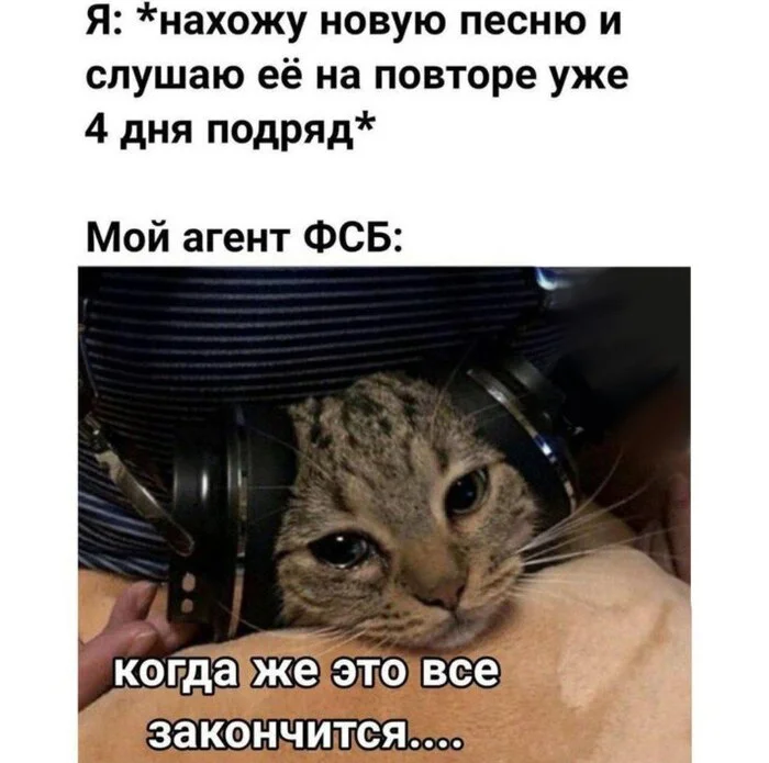 Do you do this? - Picture with text, Humor, cat, Memes, Psychology, FSB, Психолог, Expectation and reality, Sad humor, Psychotherapy, Internal dialogue, Vital, Age, Telegram (link), Song