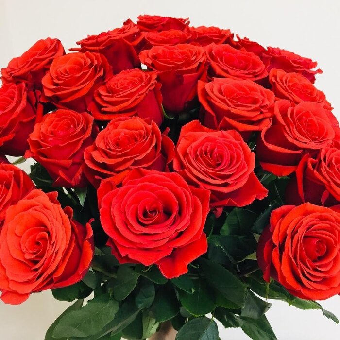 6. &quot; &quot;.  . .  ( )