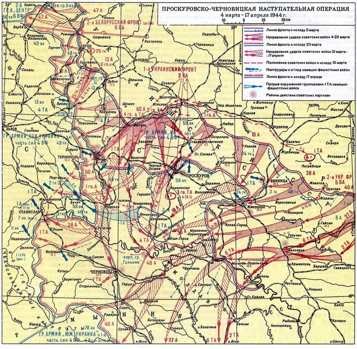 On the parallels between the SVO and the Great Patriotic War (on the topic of the 1000th day of the SVO) - Politics, Special operation, История России, Military history, The Great Patriotic War