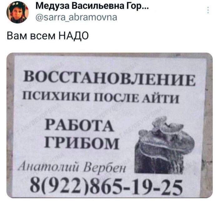 ����������� ���� ����� 5 ��� ������ � IT