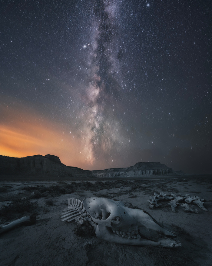  -  iOptron SkyTracker-Pro