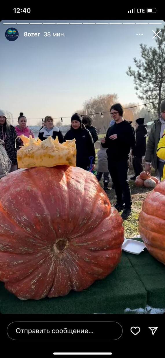 Went to Kazakhstan for seeds of my giant pumpkins - My, Garden, Garden, Gardening, Plants, Vegetables, Pumpkin, Travels, Kazakhstan, The photo, Vertical video, Video, Longpost