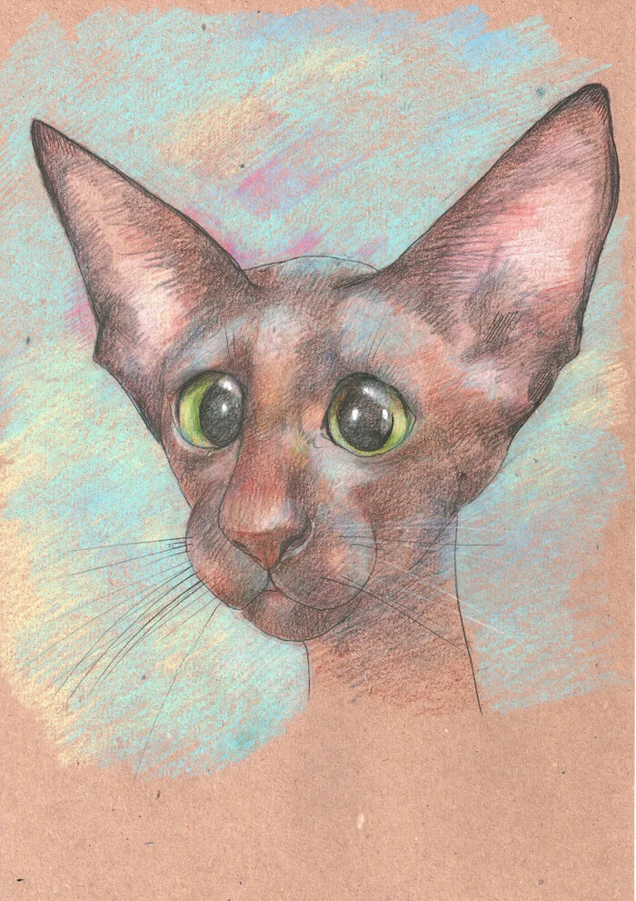 Sight - My, Luboff00, Colour pencils, Graphics, Liner, Traditional art, Oriental cats, cat